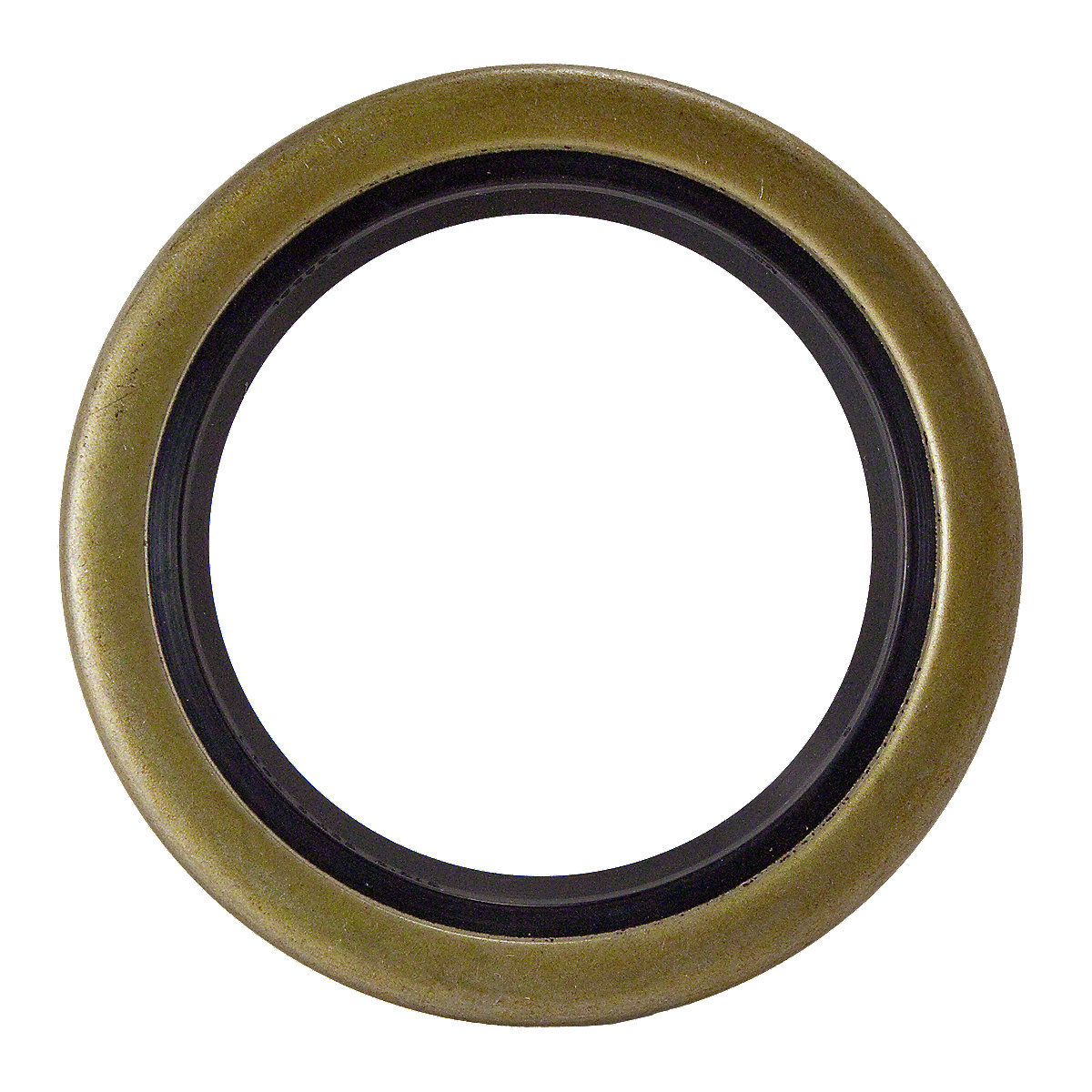 Oil Seal