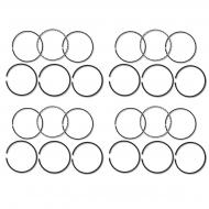 Specifications
4 bore
(3) 0.093 compression rings
(1) 0.250 oil ring
Other Application Info
Measure old rings before ordering. Do not order by tractor model only. Due to the many different piston manufacturers, there can be as many as 8 different ring sets available for one particular engine. To ensure you order the correct rings, we will need the following information:
1.) Bore Size.
2.) Thickness of each Ring.
3.) How many of each Ring Thickness per Piston. Rings CANNOT be returned if opened. Call or email for price and availability of other sizes.



M	w/ 4 bore, (3) 0.093 compression rings, (1) 0.250 oil ring	SOME
Super M	w/ 4 bore, (3) 0.093 compression rings, (1) 0.250 oil ring	SOME
Super MTA	w/ 4 bore, (3) 0.093 compression rings, (1) 0.250 oil ring	SOME
MV	w/ 4 bore, (3) 0.093 compression rings, (1) 0.250 oil ring	SOME
Super MV	w/ 4 bore, (3) 0.093 compression rings, (1) 0.250 oil ring	SOME
Super MVTA	w/ 4 bore, (3) 0.093 compression rings, (1) 0.250 oil ring	SOME
O6	w/ 4 bore, (3) 0.093 compression rings, (1) 0.250 oil ring	SOME
OS6	w/ 4 bore, (3) 0.093 compression rings, (1) 0.250 oil ring	SOME
T6	w/ 4 bore, (3) 0.093 compression rings, (1) 0.250 oil ring	SOME
Super W6	w/ 4 bore, (3) 0.093 compression rings, (1) 0.250 oil ring	SOME
Super W6TA	w/ 4 bore, (3) 0.093 compression rings, (1) 0.250 oil ring	SOME
W6	w/ 4 bore, (3) 0.093 compression rings, (1) 0.250 oil ring	SOME
400	w/ 4 bore, (3) 0.093 compression rings, (1) 0.250 oil ring	SOME
W400