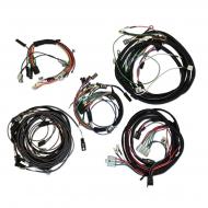 Specifications
For 12 volt original alternator systems only. 
Other wiring harness sets available. Call for quotes.
Note: Complete with instructions and light wires. Each wire is labeled for easy installation.
Other Application Info
This wire harness fits gas models with original 12 volt 10DN alternator system only. The 10DN alternator was introduced in 1966 and is characterized by the external voltage regulator. Newer alternators utilize an internal voltage regulator.
Other wiring harness sets available. Call for quotes.
Note: Complete with instructions and light wires. Each wire is labeled for easy installation.


706
806