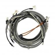 Other wiring harness sets available. Call for quotes.
Note: Complete with instructions and light wires. Each wire is labeled for easy installation.
 
Restoration quality
Original style braiding 
All terminals are silver soldered and sealed

100
130